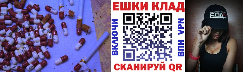 наркота Хабаровск мориарти телеграм ЭКСТАЗИ Дубай mega ССЫЛКА