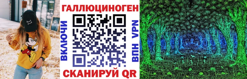 купить   Хабаровск  Галлюциногенные грибы GOLDEN TEACHER 