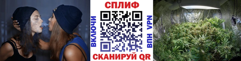 МАРИХУАНА план Хабаровск